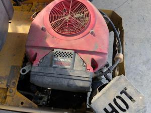 IMG 3482