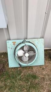 IMG 7445